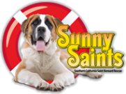 Sunny Saints, Southern California St. Bernard Rescue